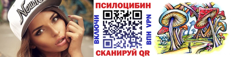 Псилоцибиновые грибы Psilocybe Уфа